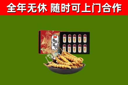 剑阁回收冬虫夏草价格