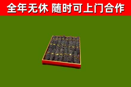 剑阁回收海参